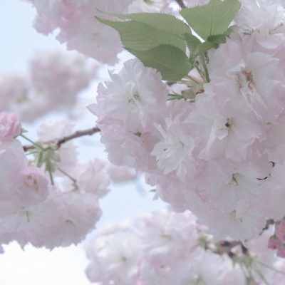 Furry绘画改稿技巧兽圈社群